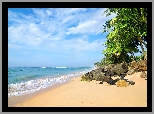 Sri Lanka, Morze, Plaża, Kamienie, Palmy