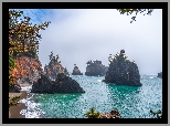 Skały, Morze, Drzewa, Park stanowy, Samuel H Boardman State Scenic Corridor, Oregon, Stany Zjednoczone