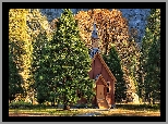 Stany Zjednoczone, Kalifornia, Park Narodowy Yosemite, Drzewa, Kaplica, Kościółek