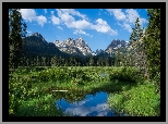 Stany Zjednoczone, Stan Idaho, Góry Sawtooth Range, Szczyt Horstmann Peak, Drzewa, Rozlewiska, Trawa