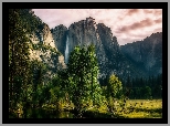 Stany Zjednoczone, Stan Kalifornia, Park Narodowy Yosemite, Góry Sierra Nevada, Wodospad Yosemite, Drzewa