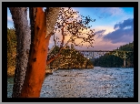 Stany Zjednoczone, Waszyngton, Most, Deception Pass Bridge, Cieśnina, Deception Pass, Las, Drzewa, Chmury