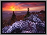 Stany Zjednoczone, Wirginia Zachodnia, Odbszar Dolly Sods Wilderness, Rezerwat przyrody Bear Rocks, Góry, Skały, Drzewa, Zachód słońca