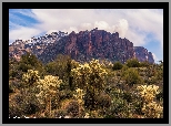 Stany Zjednoczone, Arizona, Góry, Superstition Mountains, Skały, Roślinność, Kaktusy