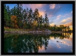 Stany Zjednoczone, Arizona, Jezioro, Goldwater Lake, Drzewa, Zachód Słońca, Odbicie