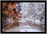 Stany Zjednoczone, Arizona, Sedona, Rzeka Oak Creek, Szlak West Fork Oak Creek Trail, Zima, Skay, Onieone, Drzewa