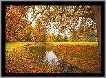 Park, Staw, Polana, Drzewa, Jesień