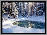 Zima, Las, Śnieg, Ośnieżone, Drzewa, Polana, Zaśnieżony, Staw