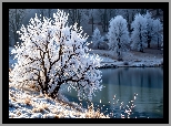 Drzewo, Staw, Zima, Grafika AI