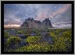 Islandia, Góry, Góra Vestrahorn, Plaża, Czarny, Piasek, Trawa