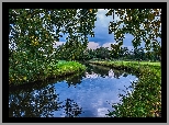 Rzeka, Trawa, Drzewa