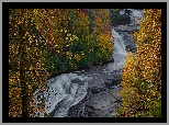 Jesień, Żółte, Drzewa, Skały, Wodospad, Triple Falls, Rzeka, Little River, Las, DuPont State Forest, Karolina Północna, Stany Zjednoczone