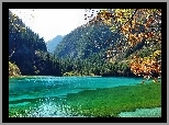 Trkusowe, Jezioro, Góry, Lasy