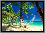 Tropikalna, Plaża, Palmy, Hamak, Morze, Lato