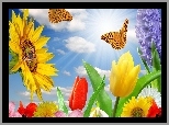 Słoneczniki, Tulipany, Motyle