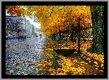 Jesień, Ulica, Deszcz, Parasol, Budynki, Samochody, Drzewa, Liście