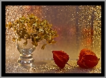 Uschnięte, Kwiaty, Wazon, Miechunka, Światło, Bokeh