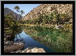 Oman, Wadi Bani Khalid, Staw, Góry, Palmy, Odbicie