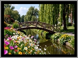Strumień, Kwiaty, Mostek, Wierzba płacząca, Park