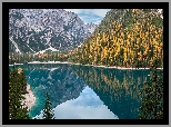 Góry, Jezioro, Pragser Wildsee, Żółte, Drzewa, Odbicie, Włochy