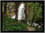 Las, Wodospad, Ścieżka