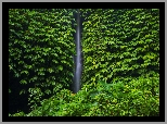 Wodospad, Leke Leke Waterfall, Drzewa, Liście, Rośliny, Bali, Indonezja