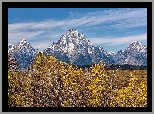 Jesień, Drzewa, Góry, Teton Range, Góra, Mount Woodring, Park Narodowy Grand Teton, Wyoming, Stany Zjednoczone