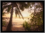 Wschód słońca, Malediwy, Morze, Plaża, Palmy