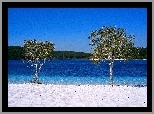 Wyspa, Frazer Island, Drzewa, Jezioro, Australia