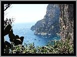 Wyspa, Capri, Morze, Kaktusy