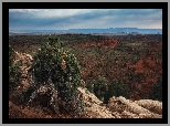 Wyżyna Kolorado, Region Monument Valley, Dolina Pomników, Rośliny, Skały, Stan Arizona, Stany Zjednoczone