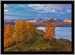 Wzgórza, Jezioro, Jesień, Brzozy, Ural