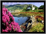 Jeziorko, Wzgórza, Różanecznik