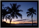 Zachód Słońca, Palmy, Jezioro, Australia
