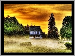 Zachód, Słońca, Drzewa, Mgła, Dom