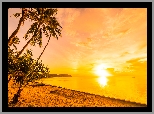 Plaża, Palmy, Morze, Zachód słońca, Niebo