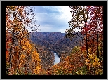 Stany Zjednoczone, Wirginia Zachodnia, Wąwóz, Rzeka, New River Gorge Bridge, Jesień, Drzewa, Lasy