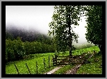 Łąka, Ścieżka, Zagroda, Drzewa