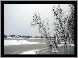 Zamarznięte, Jezioro, Drzewa, W, Dali, Domy