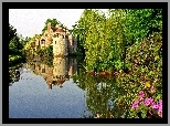 Zamek, Jeziorko, Kwiatki, Drzewa, Kent, Anglia