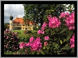 Zamek, Ramspau, Park, Wiosna, Rododendrony