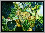 Zielone, Żółte, Liście, Fractalius