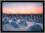 Zima, Śnieg, Drzewa, Góry, Laponia, Finlandia