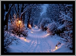 Zima, Zaśnieżona, Droga, Latarnie, Lampiony, Ośnieżone, Drzewa, Krzewy, Las, AI