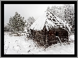 Zima, Śnieg, Drzewa, Drewniana, Szopa, Domek