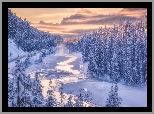 Zima, Rzeka, Śnieg, Świerki, Ośnieżone, Góry, Canadian Rockies, Park Narodowy Banff, Alberta, Kanada
