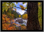 Rzeka, Wenetchee River, Jesień, Drzewa, Stan Waszyngton, Stany Zjednoczone