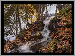 Drzewa, Kamienie, Strumyk, Wodospad, Bond Falls, Michigan, Stany Zjednoczone