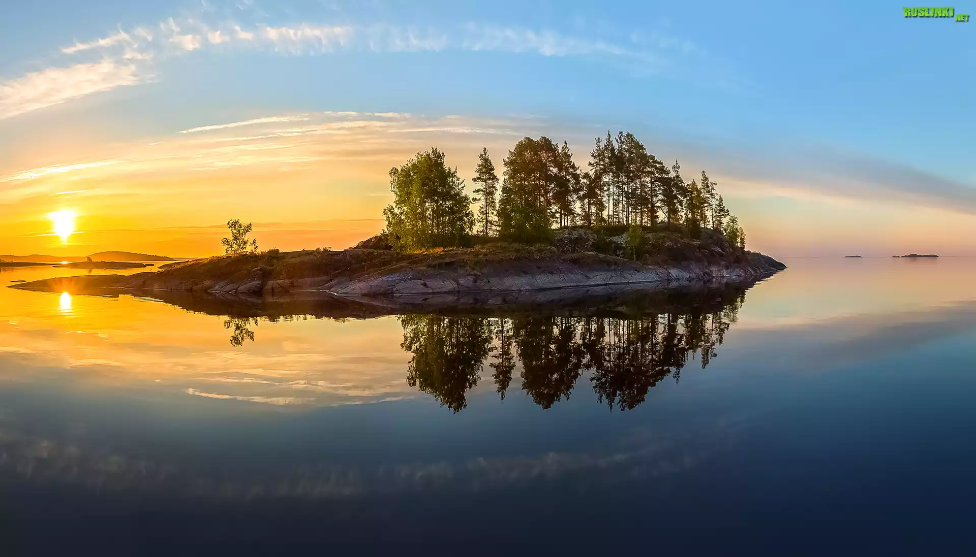 Jezioro Ładoda, Wysepka, Drzewa, Wschód słońca, Karelia, Rosja