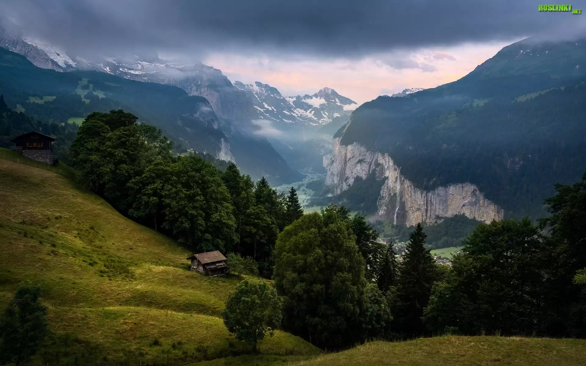 Szwajcaria, Gmina Lauterbrunnen, Wengen, Góry, Alpy Berneńskie, Dolina Lauterbrunnen, Lasy, Drzewa, Domy